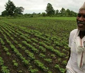 White Space Spectrum in India: An Untapped Opportunity for Rural Connectivity