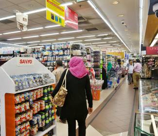 The Indian Consumer