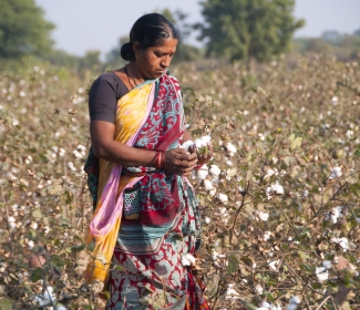 Cotton Textile Industry in India 