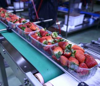 Food processing