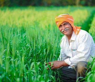 Agriculture in India