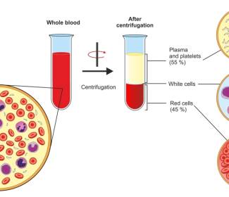 Overview of Blood Plasma Fractionation in India 