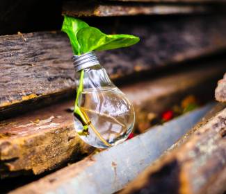 Advancing rural innovations: The second Unnati Showcase