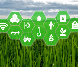 Innovations and Advancement in AgriTech