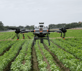 Drones in agriculture